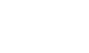 white WSJ logo